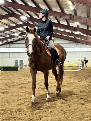 Mrs. Sewart riding a horse.