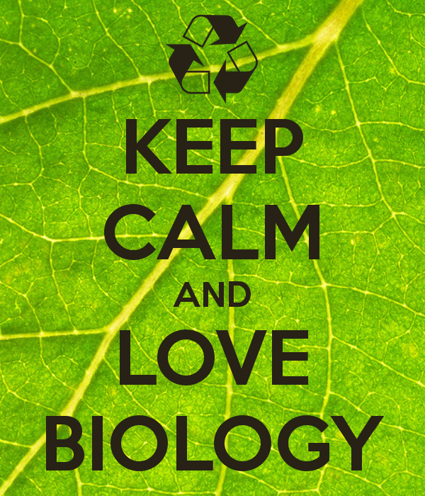 Keep Calm & Love Bio 