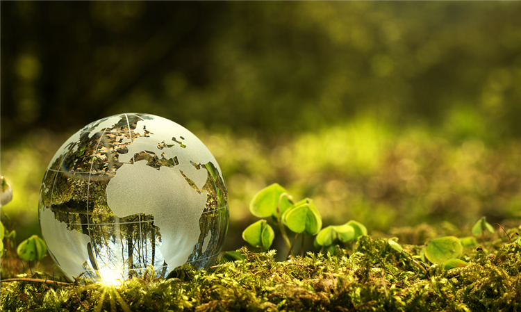 environmental science