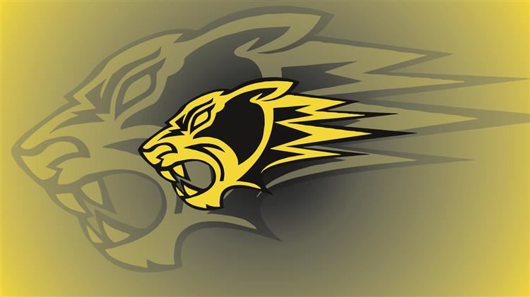 Traughber Background