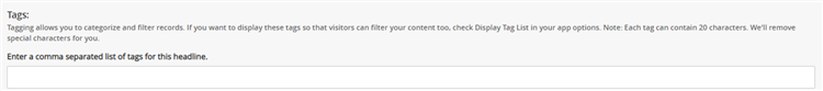Tags. Long description text from backend editor. Enter a comma separated list of tags for this headline. Empty text box. 