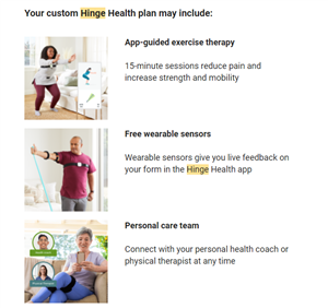Hinge Health Plan