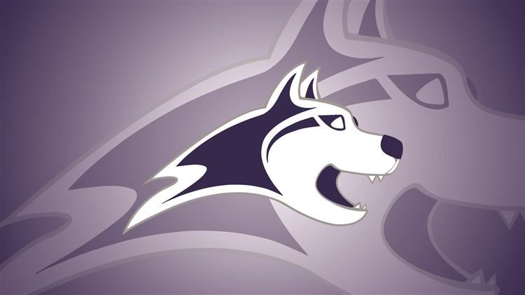 The Wheatlands Background