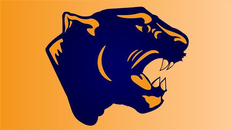 Panther Logo Background