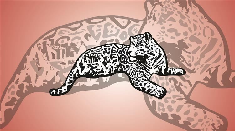 Fox Chase Background