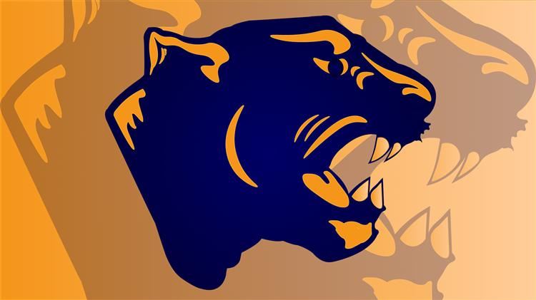 Double Panther Background Image Small 