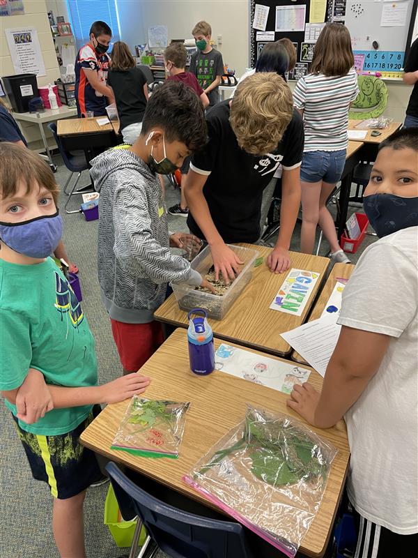 Miss Haupt's 5th graders creating terrariums for Science! 