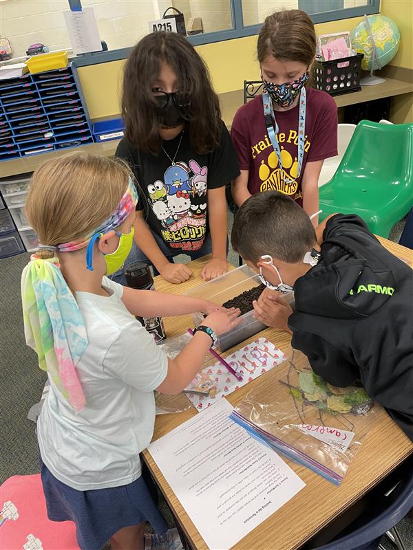 Miss Haupt's 5th graders creating terrariums for Science! 