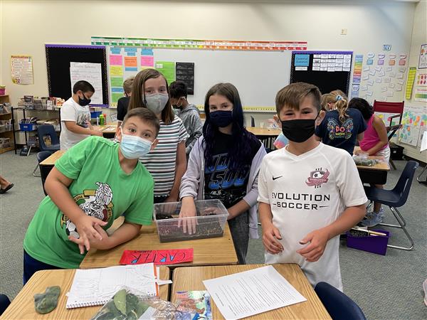 Miss Haupt's 5th graders creating terrariums for Science! 