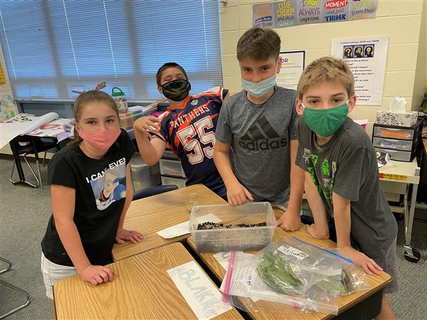 Miss Haupt's 5th graders creating terrariums for Science! 