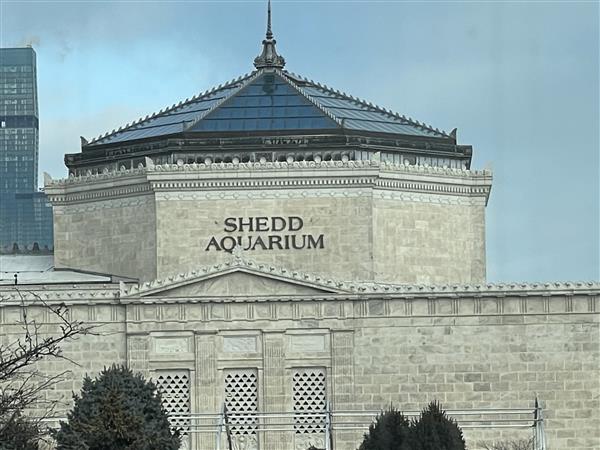 The outside of the Shedd Aquarium building