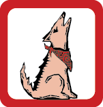  Coyote