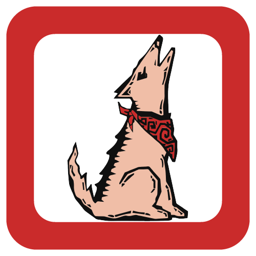  Coyote