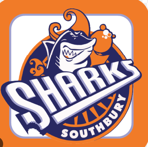  Shark Mascott