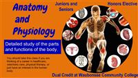 Anatomy IMage 