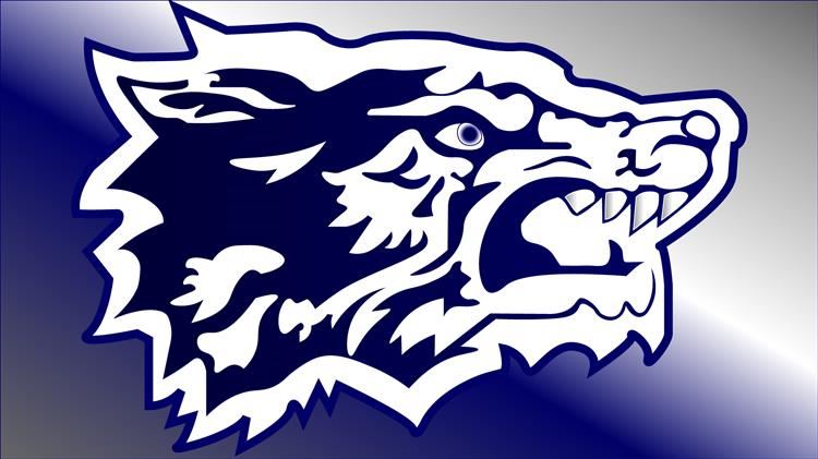 Wolves Logo Background
