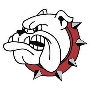 Bednarcik Logo 