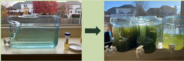 Lemelson MIT InvenTeam Project